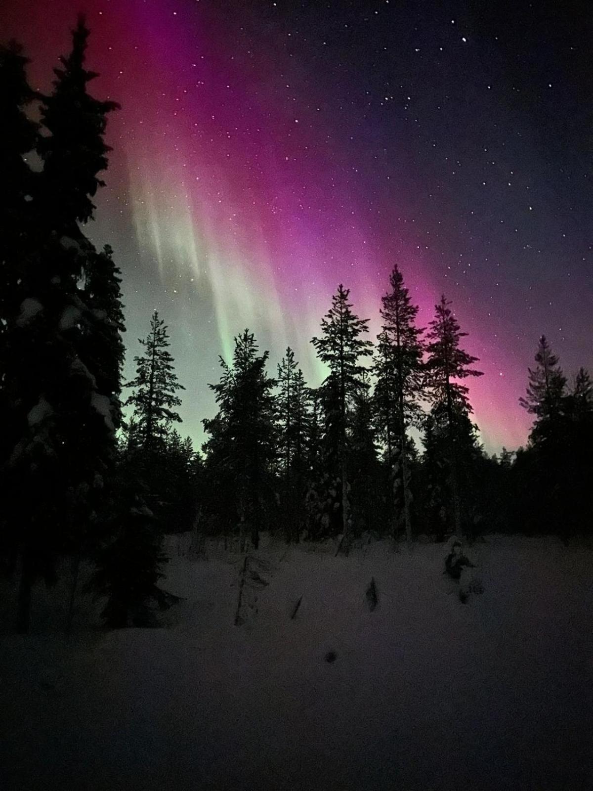 Reindeer Lake Resort Lampsijarvi Экстерьер фото