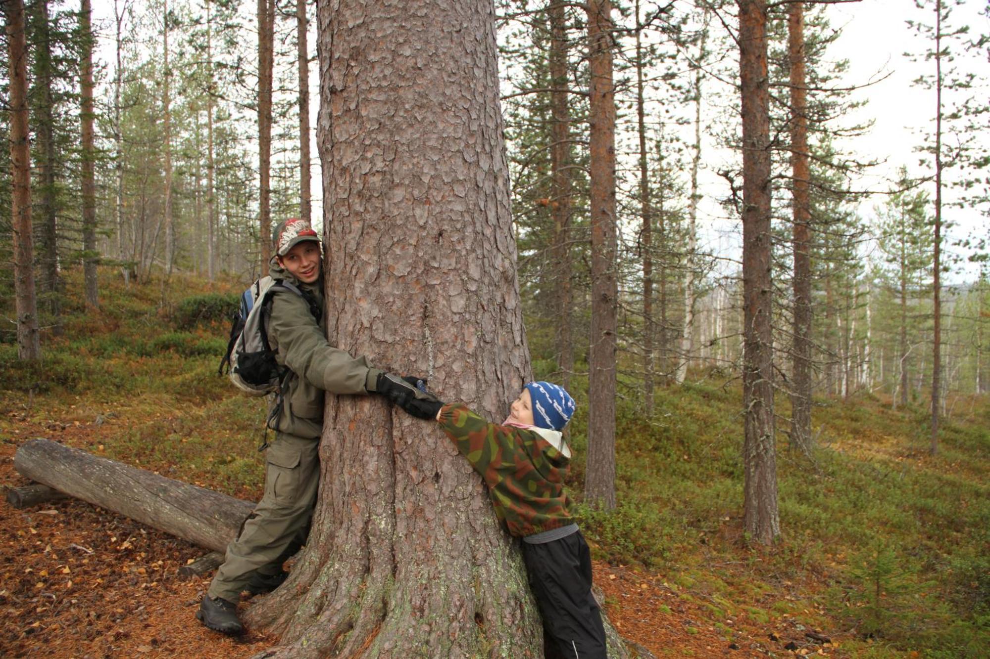 Reindeer Lake Resort Lampsijarvi Экстерьер фото